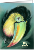 Toucan Colorful Bird Artwork Custom Birthday card