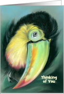 Toucan Colorful Bird Artwork Custom Thinking of You card