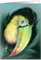 Toucan Colorful Bird Artwork Any Occasion Blank card