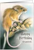 Cute Field Mouse Art...