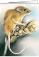 Cute Field Mouse Pastel Artwork Any Occasion Blank card