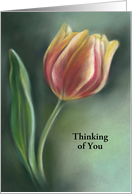 Red and Yellow Tulip Pastel Artwork Custom Thinking of You card