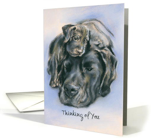Black Labrador Dog and Puppy Portrait Custom Thinking of You card