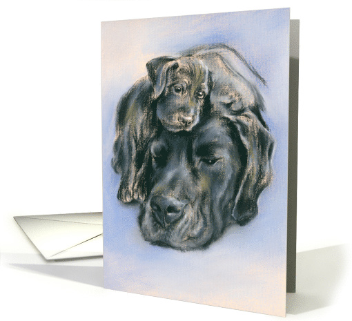 Black Labrador Dog and Puppy Portrait Artwork Any Occasion Blank card