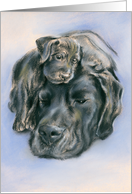 Black Labrador Dog and Puppy Portrait Artwork Any Occasion Blank card