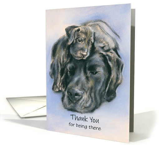 Black Labrador Dog and Puppy Portrait Custom Thank You... (1613454)