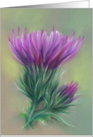 Any Occasion Purple Thistles Pastel Flower Artwork Blank card