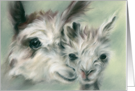 Any Occasion Alpacas Portrait of Parent and Child Pastel Art Blank card
