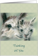 Custom Thinking of You Alpacas Portrait of Parent and Child Artwork card