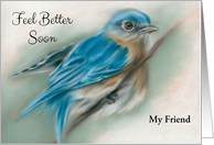 Personalized Feel Better Friend Bluebird Soft Pastel Bird Artwork card
