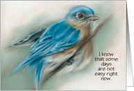 Custom Encouragement Bluebird Soft Pastel Bird Artwork card