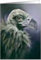 Any Occasion Bird Portrait Vulture Pastel Artwork Blank card