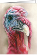 Any Occasion Turkey Gobbler Portrait Pastel Artwork Blank card