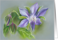 Any Occasion Blue Violet Borage Flowers Herbal Pastel Art Blank card