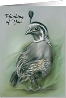 Custom Thinking of You Winter Quail and Pine Pastel Artwork card