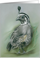 Any Occasion Winter Quail and Pine Pastel Artwork Blank card