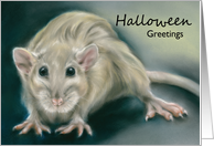 Halloween Greetings Spooky Rat Pastel Portrait Artwork card