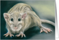 Any Occasion Spooky yet Sweet Rat Pastel Portrait Art Blank card