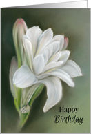 Happy Birthday Delicate White Flowers Tuberose Pastel Art card