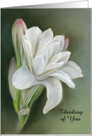 Custom Thinking of You Delicate White Flowers Tuberose Pastel Art card