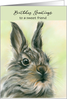 Custom Birthday for Friend Cute Fluffy Baby Hare Pastel Art card