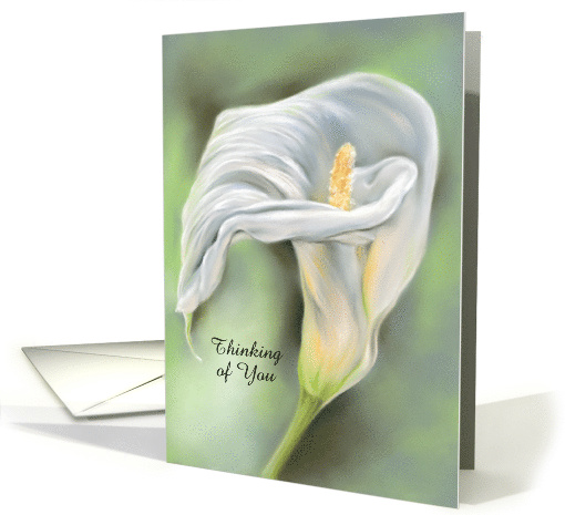Personalized Thinking of You Graceful Calla Flower White... (1639962)