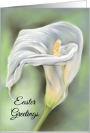 Easter Greetings Graceful Calla Flower White Lily Pastel Art card