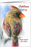 Custom Christmas from Across the Miles Cardinal Female Redbird Art card