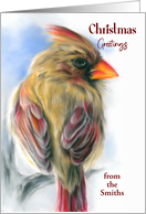 Christmas Personalized from Name Cardinal Female Redbird Art card