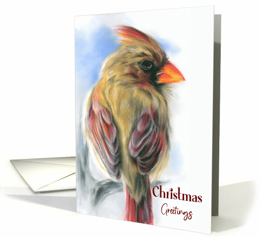 Christmas Greetings Cardinal Female Redbird Pastel Art card (1641430)