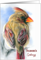 Season’s Greetings Cardinal Female Redbird Pastel Artwork card