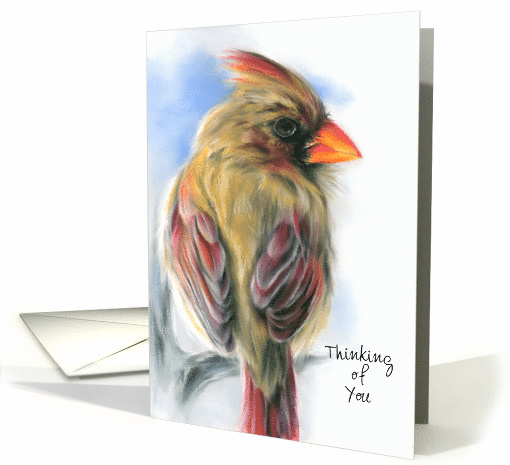 Custom Thinking of You Cardinal Female Redbird Pastel Artwork card