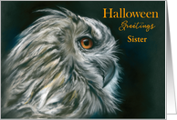 Custom Halloween for Relative Sister Owl Portrait Pastel Art card
