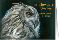 Custom Halloween Across the Miles Owl Portrait Pastel Art card