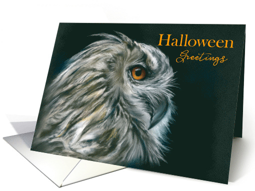 Halloween Greetings Owl Portrait in Profile Pastel Art card (1645326)