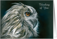 Custom Thinking of You Owl Portrait in Profile Pastel Art card