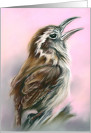 Any Occasion Carolina Wren Pastel Bird Portrait Art Blank card