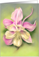 Any Occasion Pink Columbine Flower Pastel Art Blank card