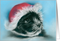 Black and White Puppy Dog in a Santa Hat Pastel Art Blank card