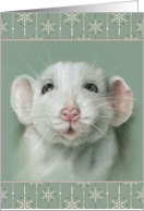 Any Occasion Sweet White Rat Pet Portrait Pastel Art Blank card