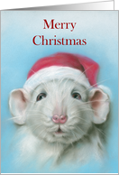 Merry Christmas Cute White Rat with Santa Hat Pastel Art card