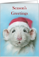 Seasons Greetings Cute White Rat with Santa Hat Pastel Art card