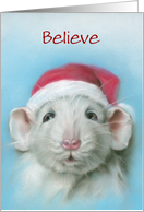 Believe Custom Christmas Cute White Rat with Santa Hat Pastel Art card