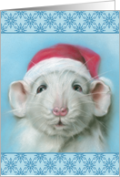 Any Occasion Cute White Rat with Santa Hat and Snowflakes Blank card