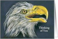 Custom Thinking of You Bald Eagle with Open Beak Profile Portrait Art card