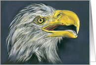 Any Occasion Bald Eagle with Open Beak Profile Portrait Art Blank card