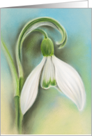 Any Occasion Snowdrop White Spring Flower Pastel Art Blank card