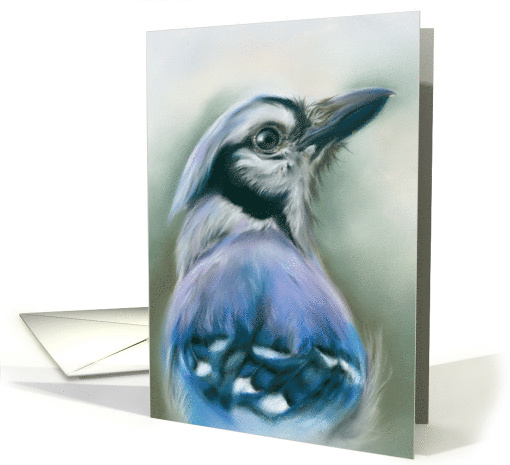 Any Occasion Blue Jay Bird Portrait Pastel Art Blank card (1658684)