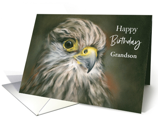 Personalized Birthday Grandson Relative Kestrel Falcon Bird Art card