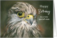 Custom Birthday for Him Kestrel Falcon Bird of Prey Art card